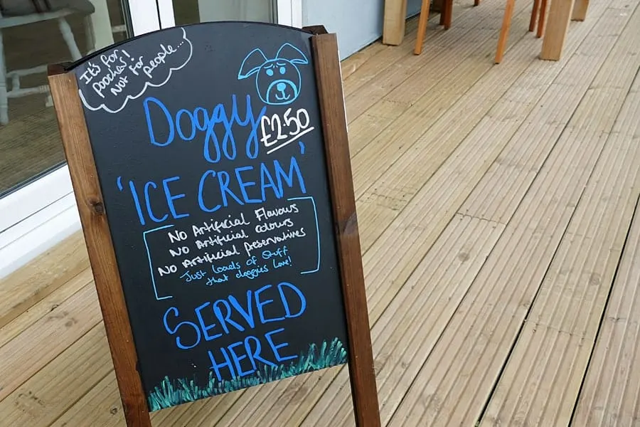 Doggy ice cream at The Beach Deck, Eastbourne, East Sussex