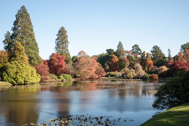 Sheffield Park Gardens, near Uckfield