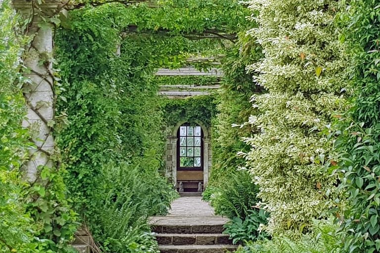 Discover beautiful gardens in Sussex