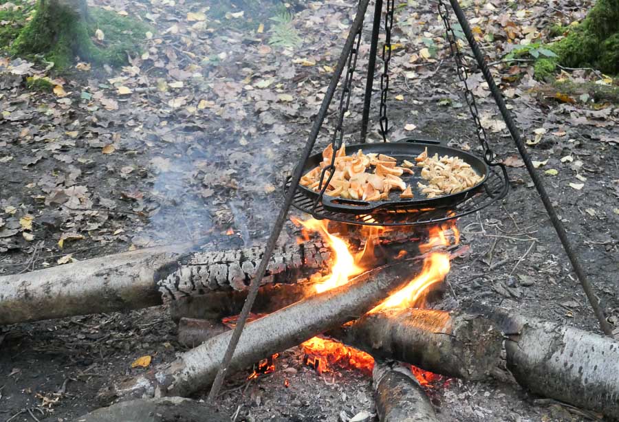 Cooking mushroom and fungi on the campfire