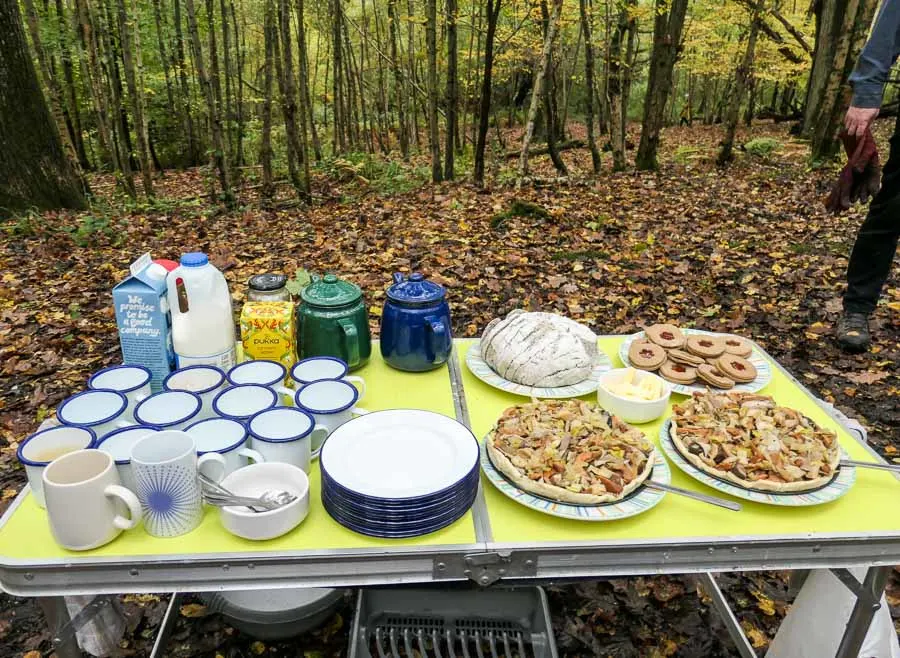 Fungi Foraging Course lunch