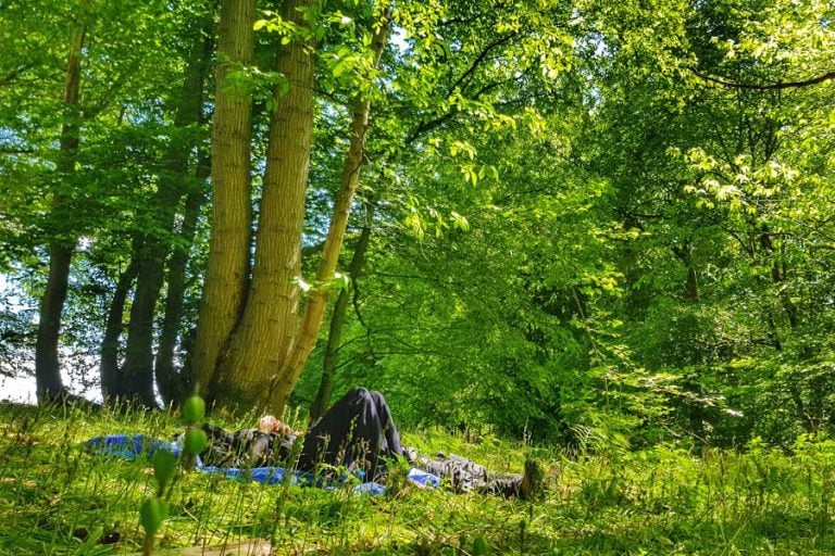 Reconnect with nature: ‘Forest Bathing Sussex’