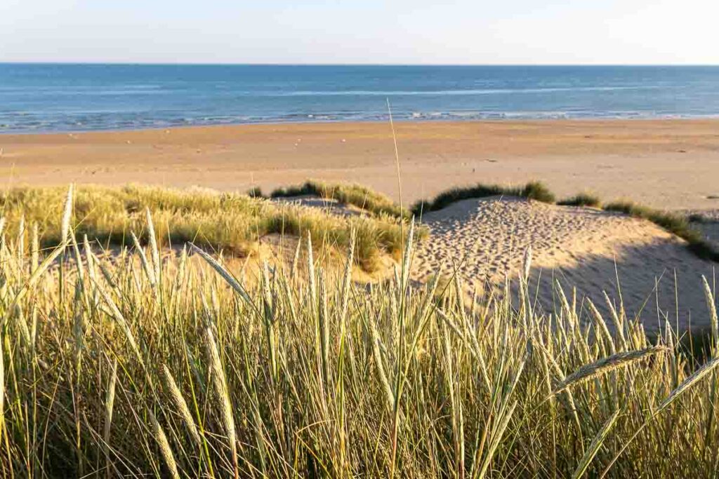 Camber Sands beach, East Sussex