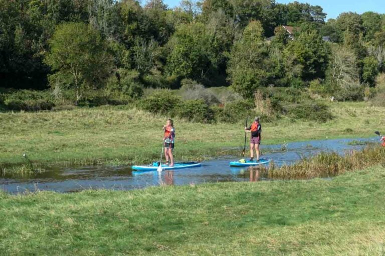 Two female stand up paddle boards on blue boards paddling down a river with trees in the background and grassy foreground
