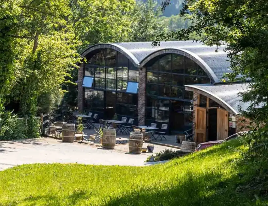 Sedlescombe Organic one of the only bio-dynamic vineyards in Sussex