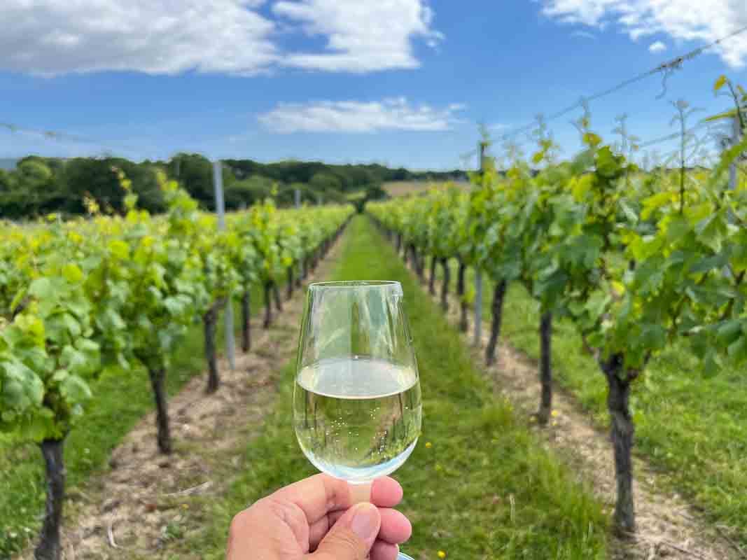 East Sussex | Hello Sussex