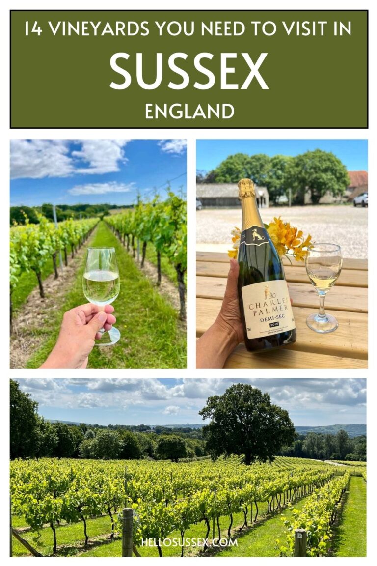 Vineyards in Sussex for wine tours, tastings and dining