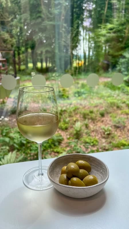 A glass of white wine with a bowl of Gordal Olives sit on a table in front of a window with a background of trees