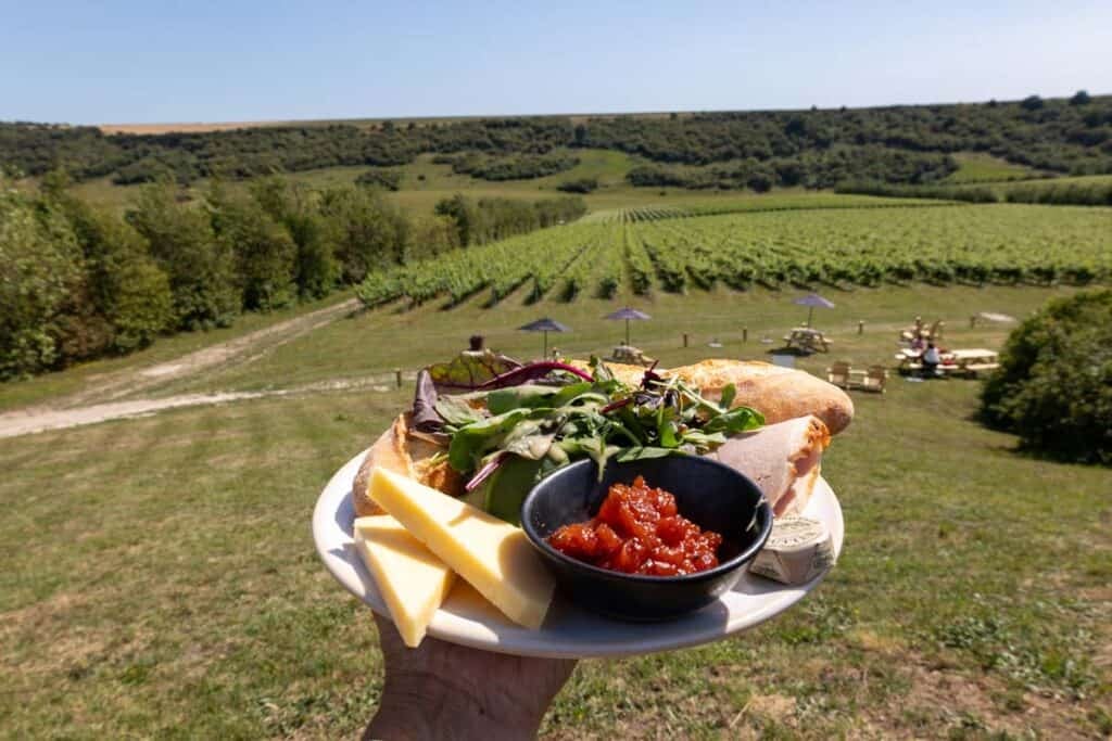 A hand holds a ploughmans lunch on a white plate in the background are picnic tables and beyond them rows of vines sloping away