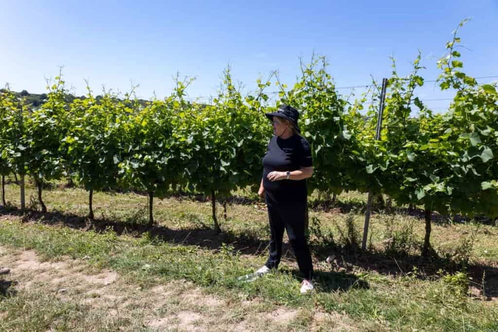 Our vineyard tour guide stands in front of a row of green vines. She is wearing a black t-shirt and trousers and a black sun hat