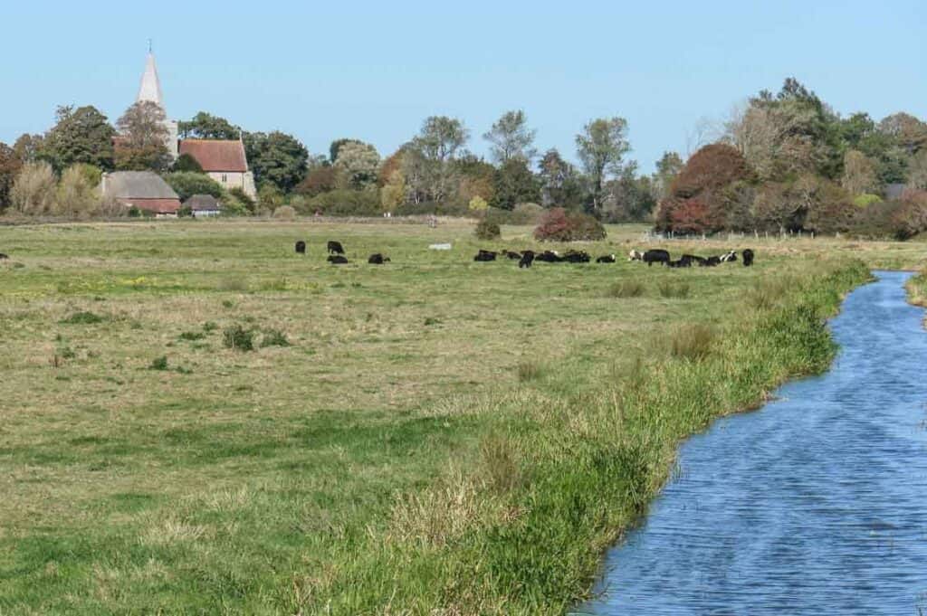 Cuckmere river with the town of Alfriston in the background and the spire of St Andrews peeping through trees